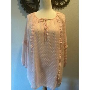 EST 1946 Pink Embroidery Dot Sheer Ruffled Blouse Slight Balloon Sleeves Sz22/24
